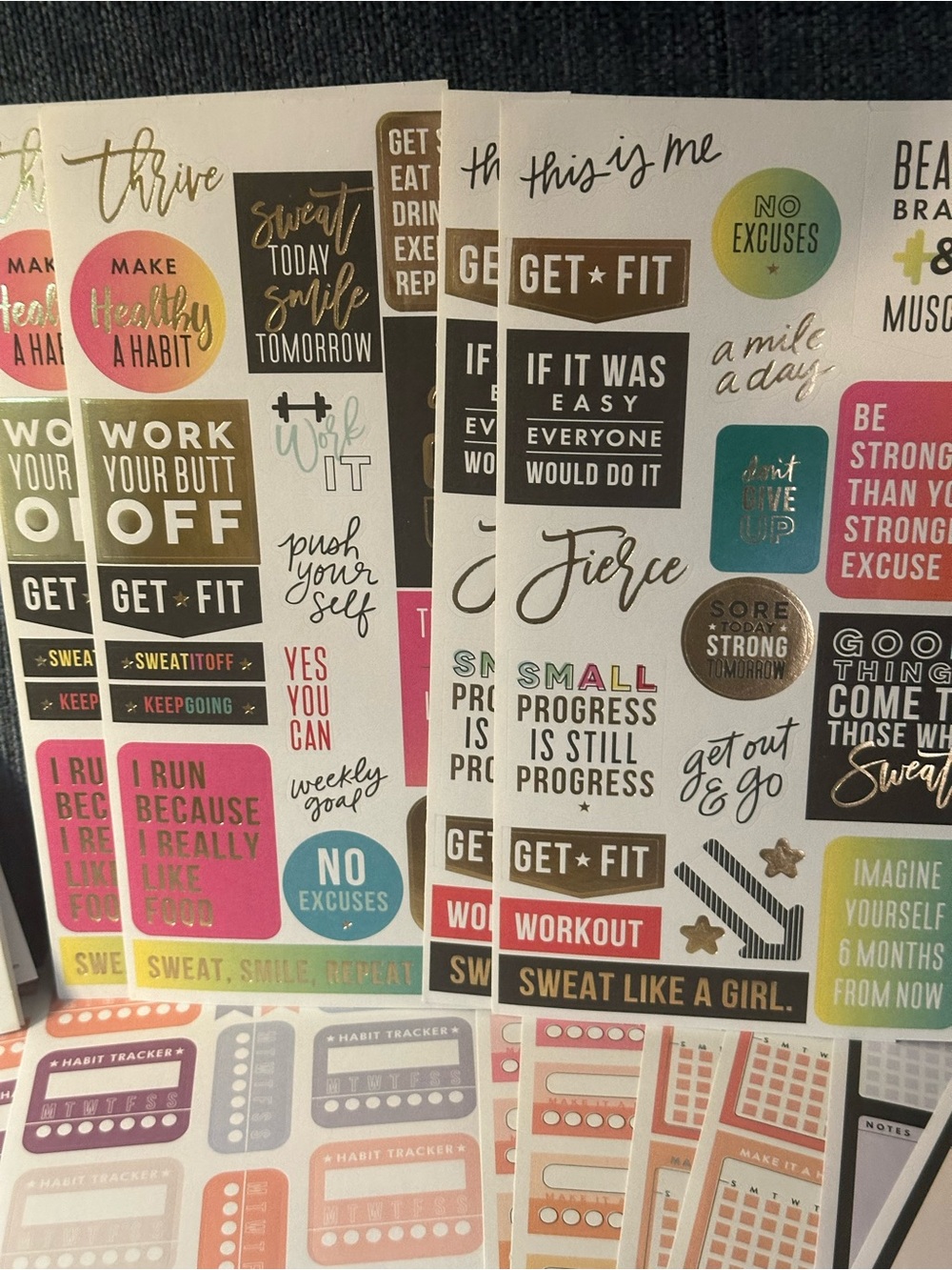 Happy Planner Fitness Sticker Book & 65 Sticker Sheets Bundle - Picture 7 of 8